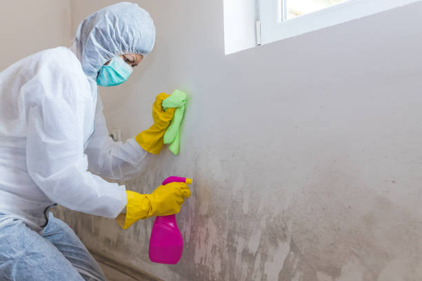 Best Mold Remediation for Healthcare Facilities  in Cypress Gardens, FL